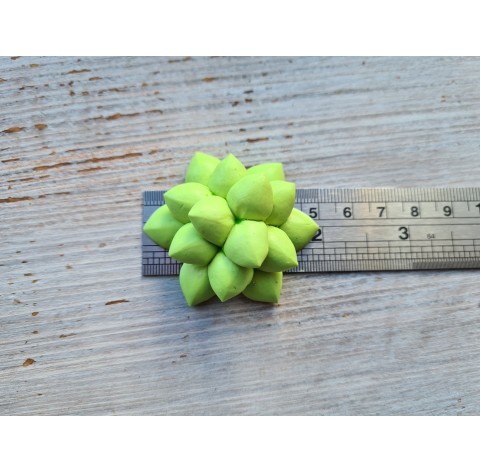 Silicone mold, Succulent 4, ~ Ø 5 cm