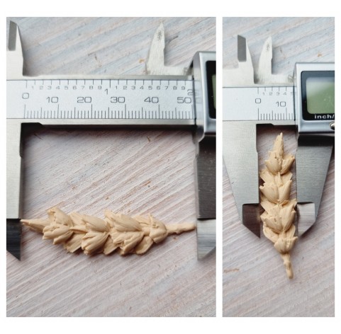 Silicone mold, Wheat branch, natural, 2 pcs., ~ 1.3*5.1 cm