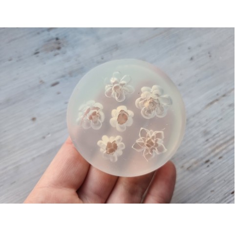 Silicone mold, Succulents, 6 pcs., ~ 1.3-1.9 cm