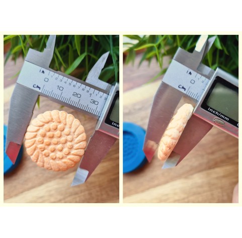 Silicone mold, Full size biscuit, style 44, ~ Ø 3.3 cm, H:0.7 cm