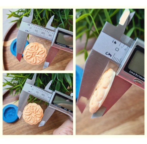 Silicone mold, Full size biscuit, style 45, ~ Ø 3*3.2 cm, H:0.6 cm