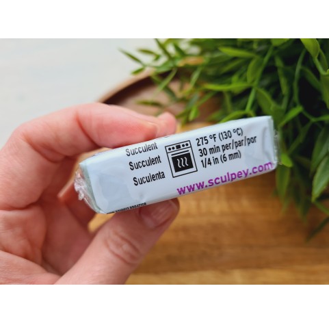 Sculpey Souffle, succulent, Nr.6018, 48g (1.7oz), oven-hardening polymer clay 