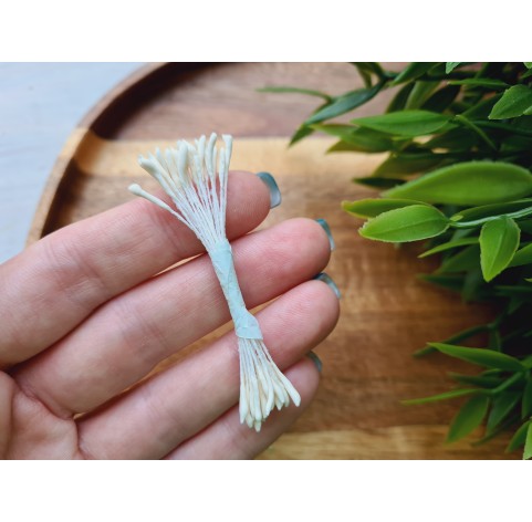 Flower stamens, white, Lotus, 1*9 mm, ~ 20 stamens