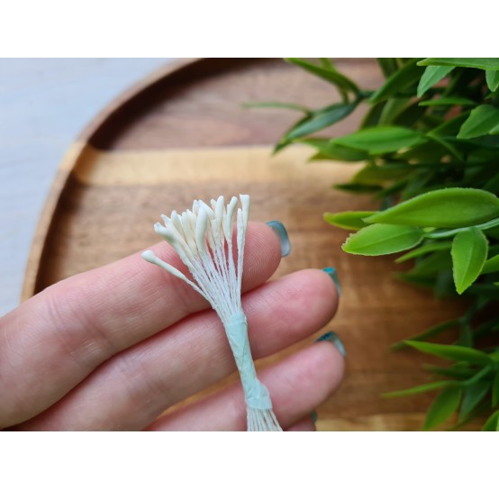 Flower stamens, white, Lotus, 1*9 mm, ~ 20 stamens