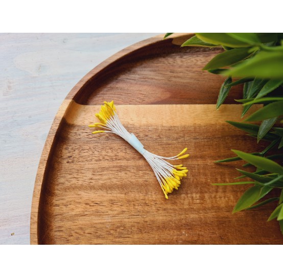 Flower stamens, yellow, Lotus, 1*9 mm, ~ 20 stamens