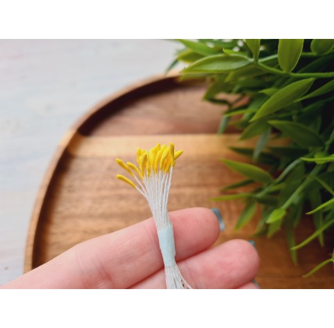 Flower stamens, yellow, Lotus, 1*9 mm, ~ 20 stamens