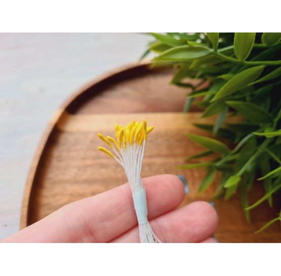 Flower stamens, yellow, Lotus, 1*9 mm, ~ 20 stamens