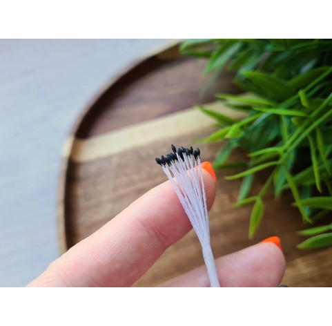 Flower stamens, black, 1*2 mm, ~ 20 stamens