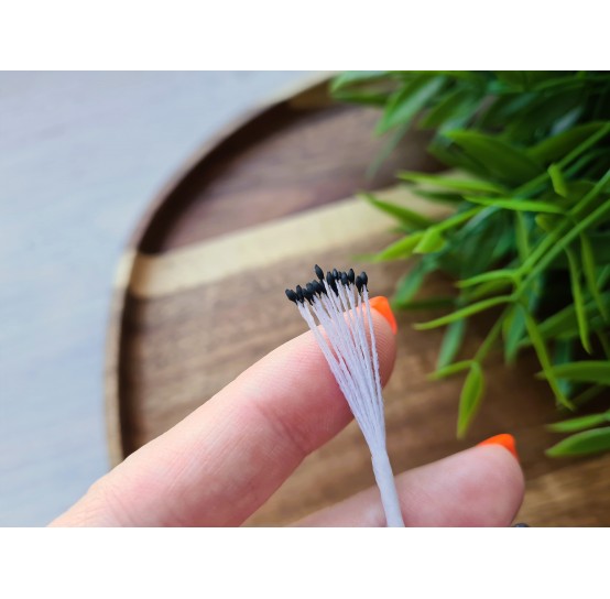 Flower stamens, black, 1*2 mm, ~ 20 stamens