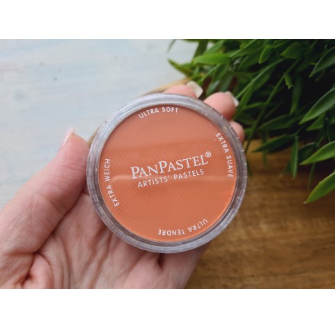 PanPastel soft pastel, Nr. 380.7, Red Iron Oxide Light