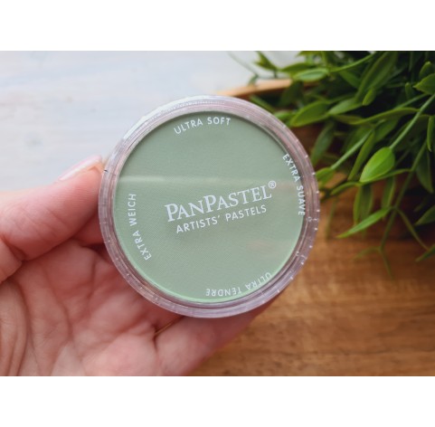 PanPastel soft pastel, Nr. 660.7, Chromium Oxide Green Light