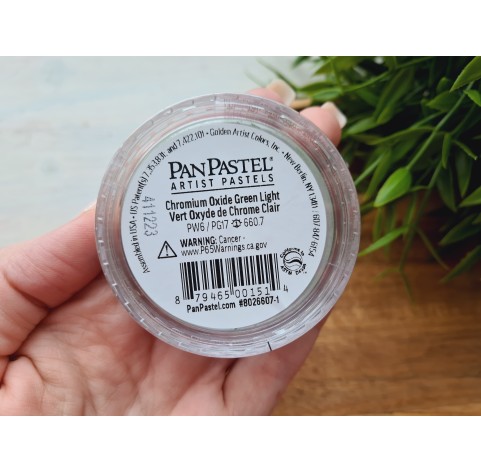 PanPastel soft pastel, Nr. 660.7, Chromium Oxide Green Light