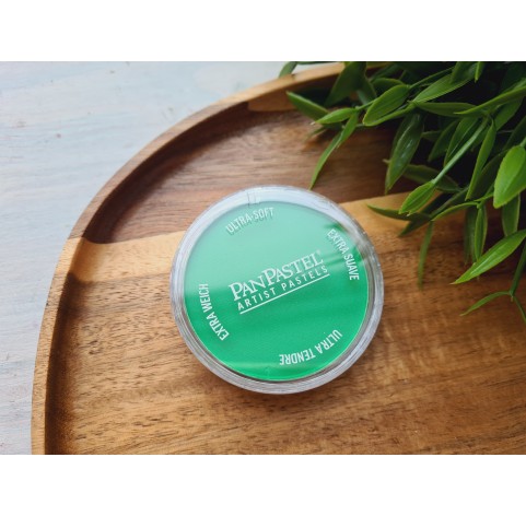 PanPastel soft pastel, Nr. 670.5, Blue Green