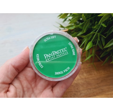 PanPastel soft pastel, Nr. 670.5, Blue Green