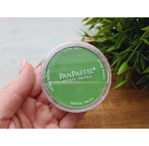 PanPastel soft pastel, Nr. 690.3, Yellow Green Shade