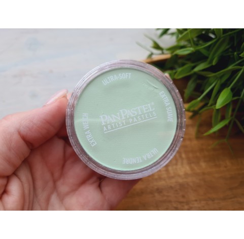 PanPastel soft pastel, Nr. 690.8, Yellow Green Tint