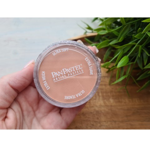 PanPastel soft pastel, Nr. 740.7, Burnt Sienna Light