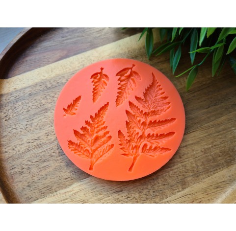 Silicone mold, Fern leaf, style 2, 5 elements, ~ 1-7.8 cm, H:0.2-0.3 cm