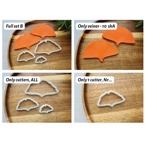 Silicone veiner, Ginkgo leaf, set B, set or individually