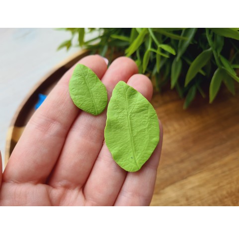 Silicone veiner, Apple tree leaf, set or individually