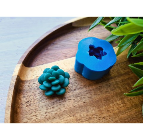 Silicone mold, Succulent, style 1, ~ Ø 2.5 cm, H:1.4 cm