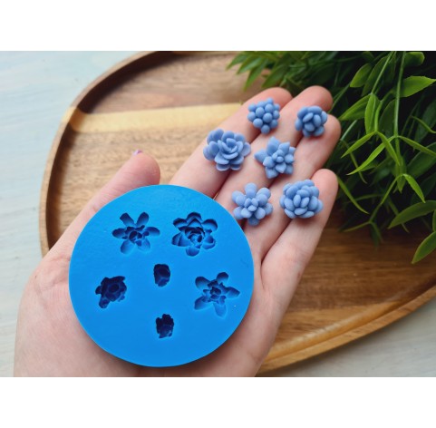 Silicone mold, Succulent, style 16, 6 elements, ~ Ø 1.3-1.8 cm, H:0.8-1.1 cm