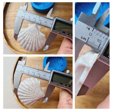 Silicone mold, Seashell, style 1, large, ~ Ø 4.8 cm, H:1.3 cm