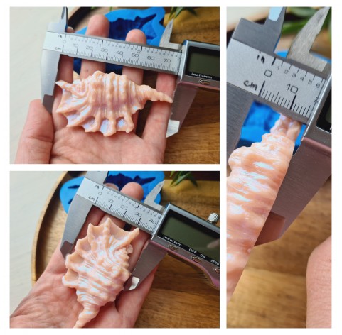 Silicone mold, Seashell, style 6, large, 2 elements, ~ 1.2-7.5 cm, H:0.6-1.6 cm