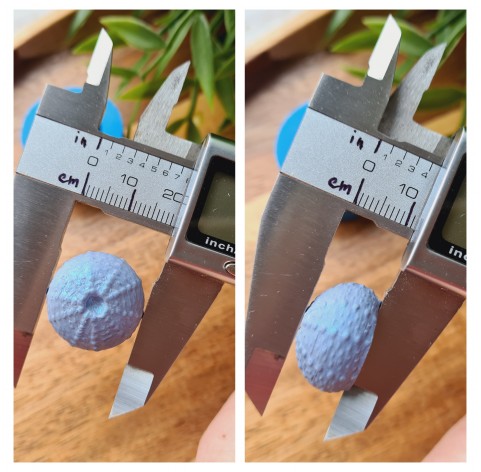 Silicone mold, Sea urchin, style 4, ~ Ø 1.9 cm, H:1.1 cm