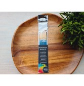 Synthetic brush Nassau Professional, nylon, flat and round, 6 brushes