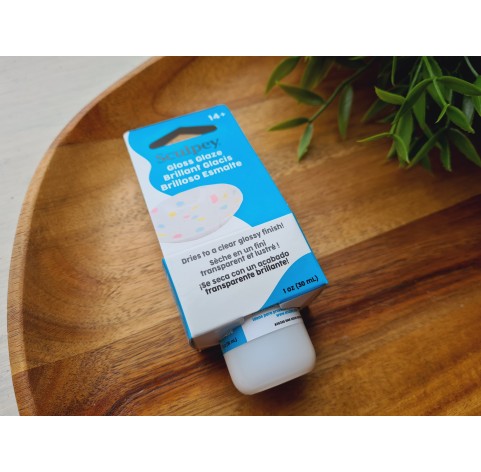 Sculpey finish varnish for plastic, gloss glaze, 30 ml