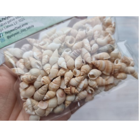 Sea shells, small, 50 g.
