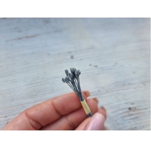Stamens (large), gray, 4 mm, about 20 pc