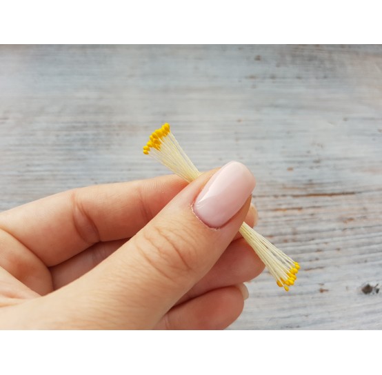 Stamens (small), yellow, 1 mm