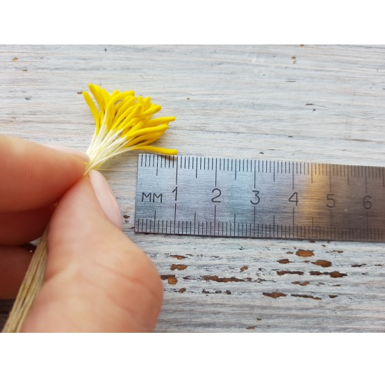 Stamens (long), yellow, 2 mm