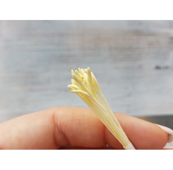 Stamens (long), light yellow, 2 mm