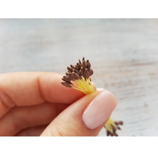 Stamens (pointed), brown, 2 mm