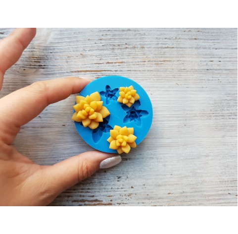 Silicone mold, Succulents, 3 pcs, ~ 1.6-2.9 cm