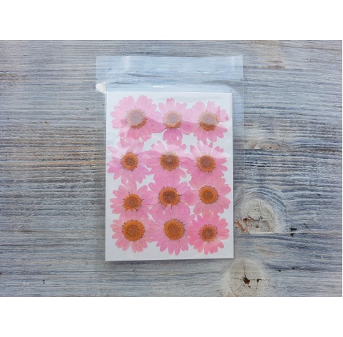 Dried flowers, chamomile, pink, 12 pcs.