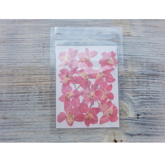 Dried flowers for jewelry, pink, 12 pcs.
