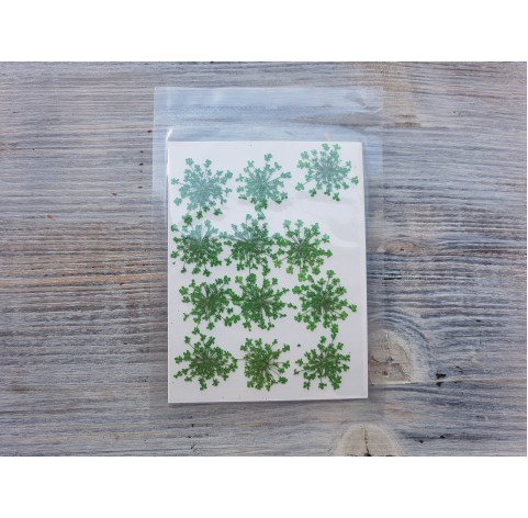 Dried flowers, green, 12 pcs.