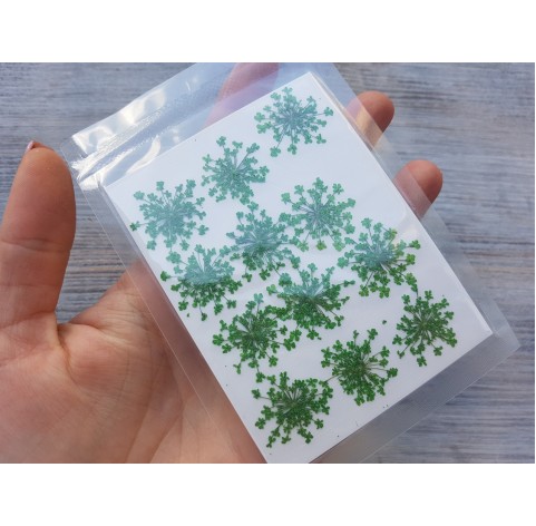 Dried flowers, green, 12 pcs.