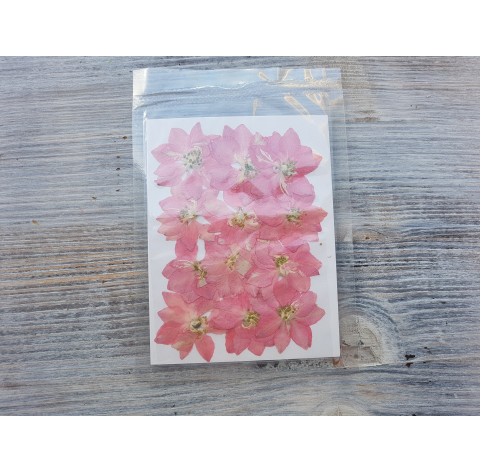 Dried flowers, cipria, pink, 12 pcs.