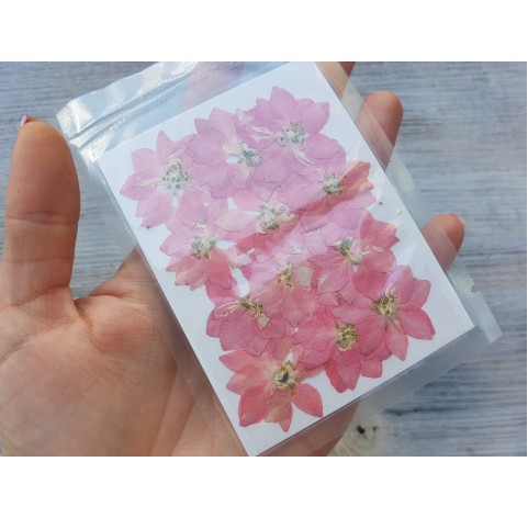 Dried flowers, cipria, pink, 12 pcs.