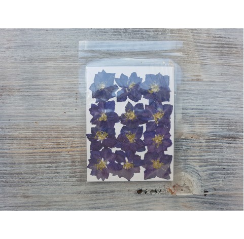 Dried flowers, purple, 12 pcs.