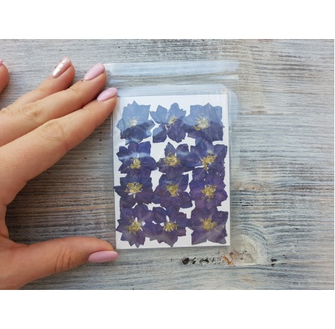 Dried flowers, purple, 12 pcs.