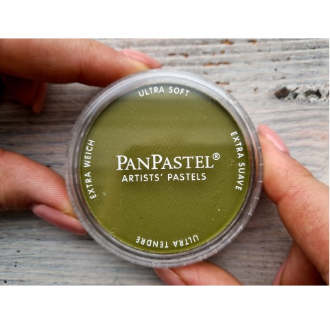 PanPastel soft pastel, Nr. 220.1, Hansa Yellow Extra Dark