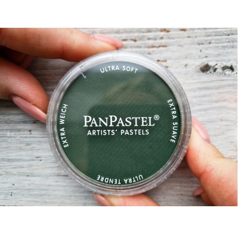 PanPastel soft pastel, Nr. 640.1, Permanent Green Extra Dark