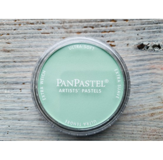 PanPastel soft pastel, Nr. 640.8, Permanent Green Tint