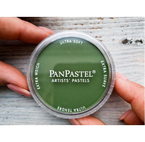 PanPastel soft pastel, Nr. 660.3, Chromium Oxide Green Shade